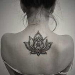 Meet your Posher, Blanedit